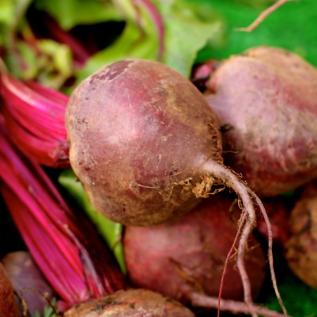 BEETROOT