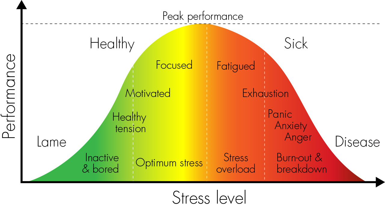 PERFORMANCE-CURVE1.jpg